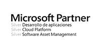 microsoft_partner.png